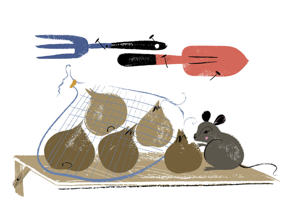 Kuvituskuva, jossa hiiri napostelee kukkasipulia verkkopussista.